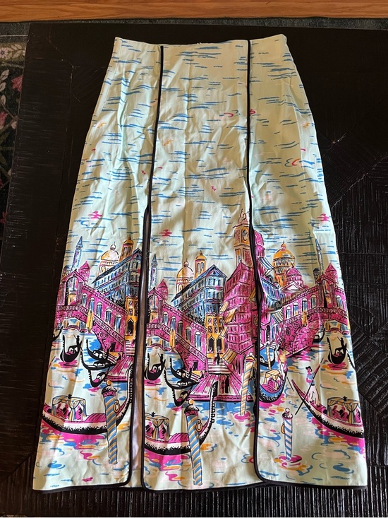 Zara Dresses & Skirts - Zara Studio Gondola Print Skirt Size S EUC